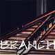 Vine Branches.